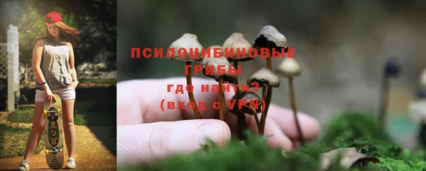 таблы Белокуриха